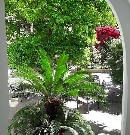 Back To Sorrento Bed & Breakfast Sant'Agnello Bagian luar foto