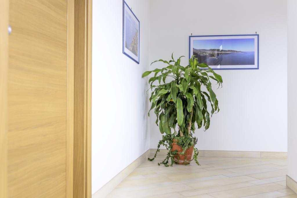 Back To Sorrento Bed & Breakfast Sant'Agnello Bagian luar foto