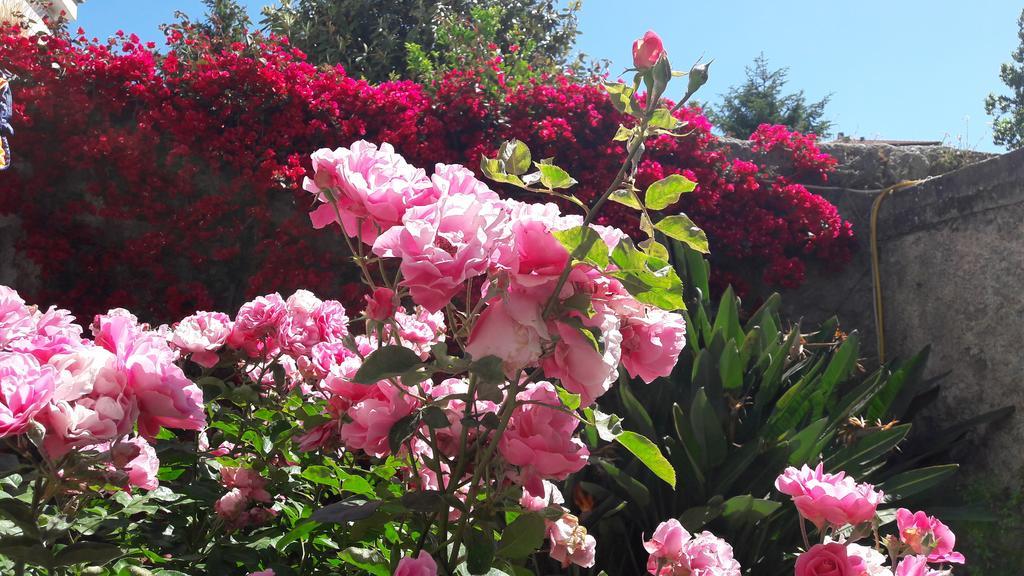 Back To Sorrento Bed & Breakfast Sant'Agnello Bagian luar foto